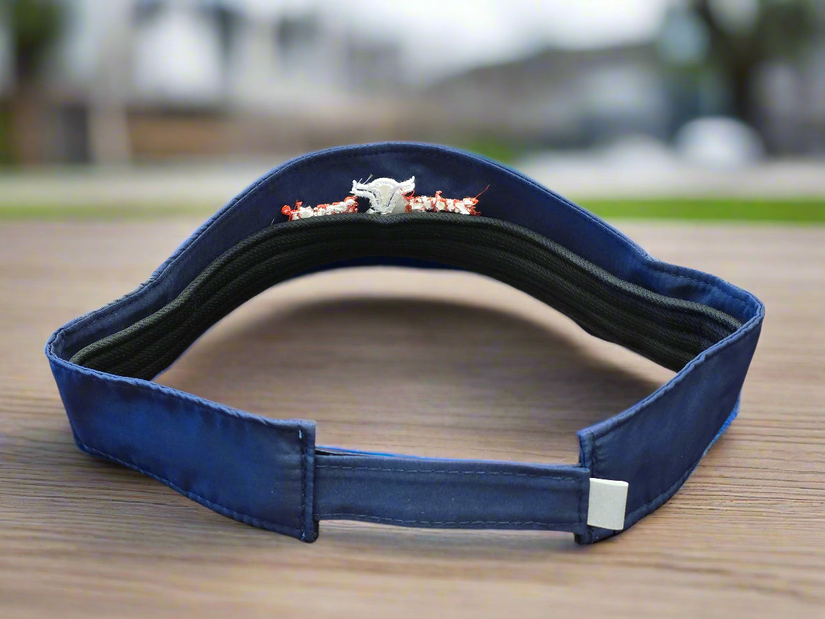 Visor